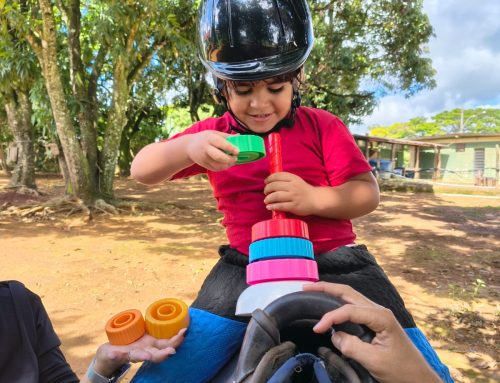 Conexão, cuidado e alegria na equoterapia